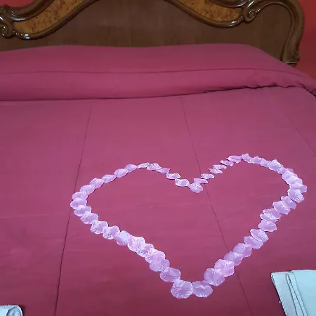 Bebvialata *